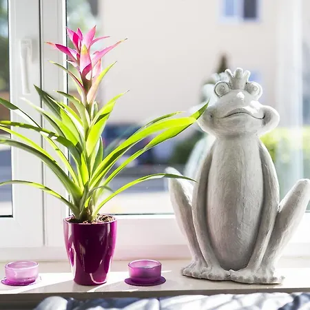 شقة فييو - باربرا - راست *