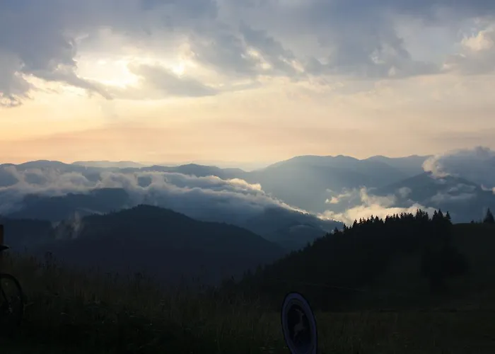 Apartment Fewo-barbara-rust *