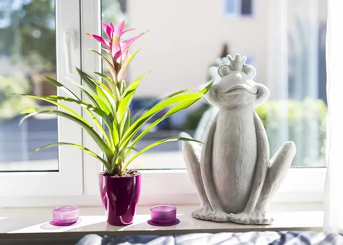 Apartment Fewo-barbara-rust *