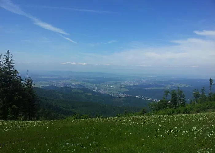 Fewo-barbara-rust Apartment Rust